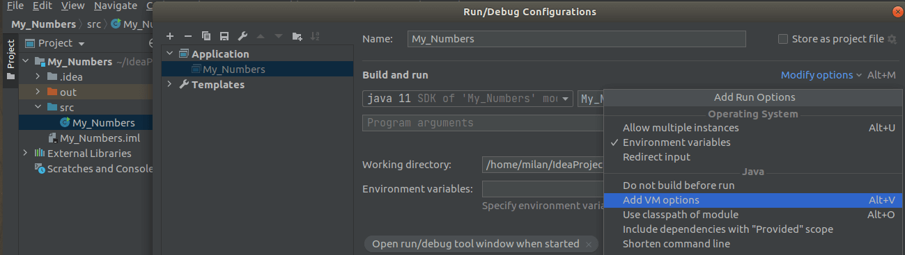 Java debug configuration: adding VM options