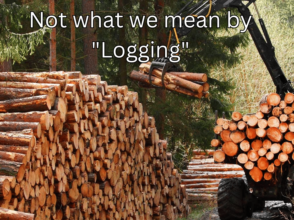 Logging
