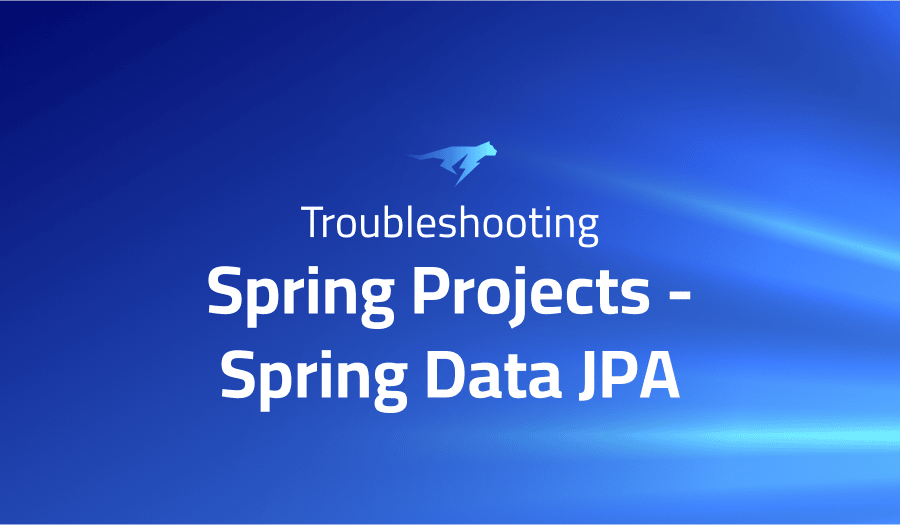 This is a glossary of all the common issues in Spring project Spring Data JPA