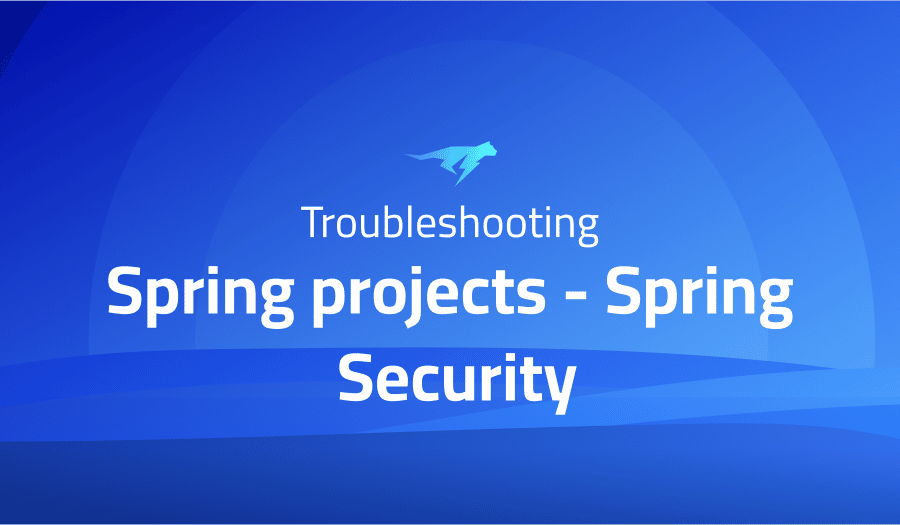 This is a glossary of all the common issues in Spring projects Spring Security