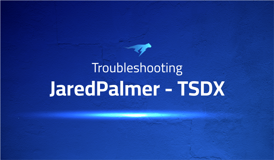 This is a glossary of all the common issues in JaredPalmer TSDX