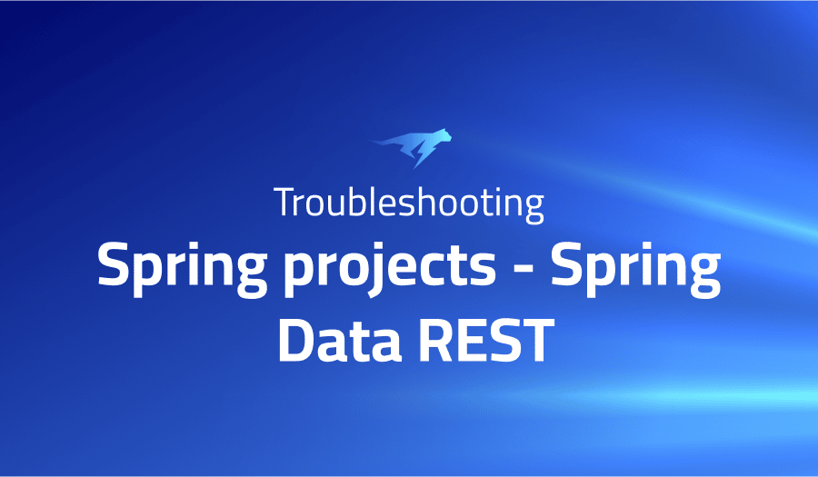 This is a glossary of all the common issues in Spring project Spring Data REST