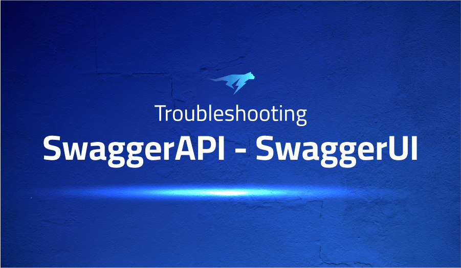 This is a glossary of all the common issues in SwaggerUI