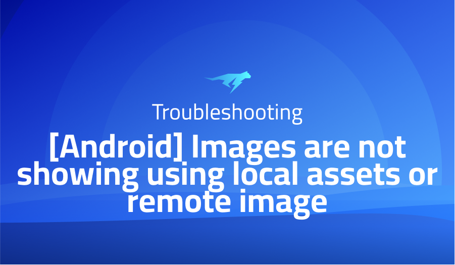 Images are not showing using local assets or remote image