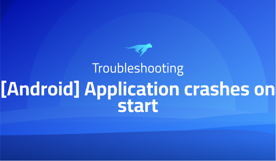 Application crashes on start