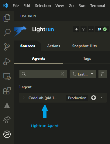 Lightrun agent running in VS Code