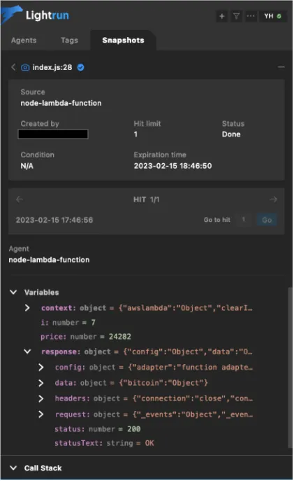Lightrun Snapshot Variables