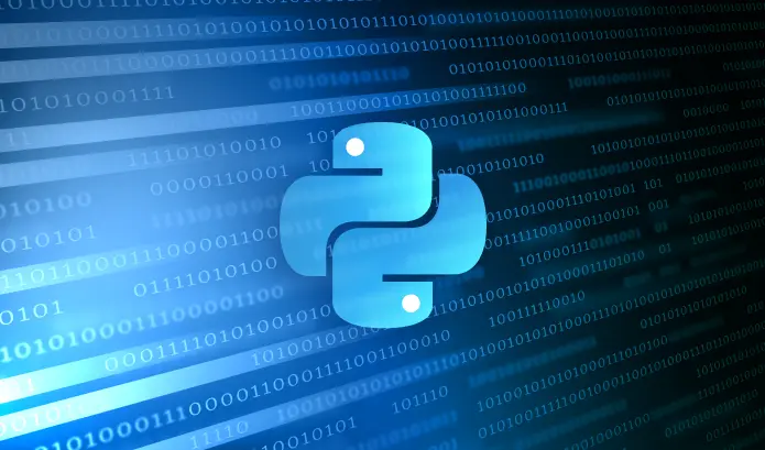 How To Perform Dynamic Code Instrumentation in a Python Application