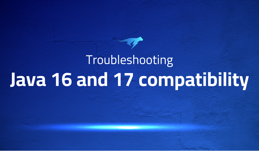 Java 16 and 17 compatibility