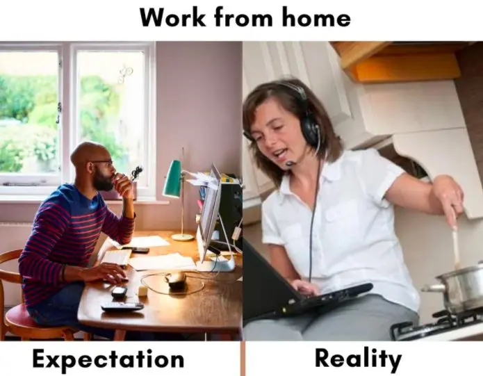 Work from home expectation vs reality