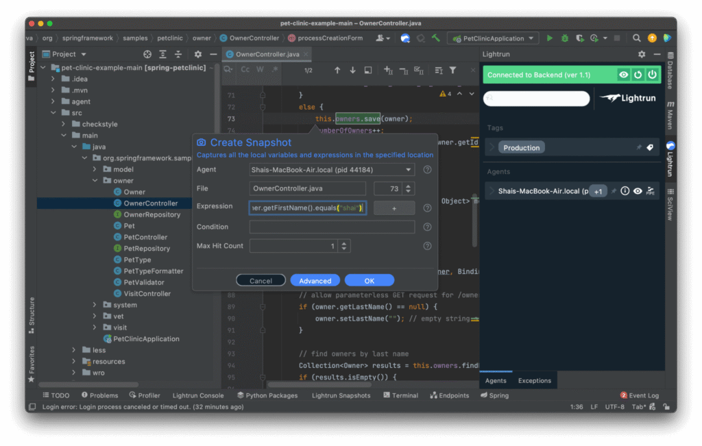 Creating a Lightrun snapshot