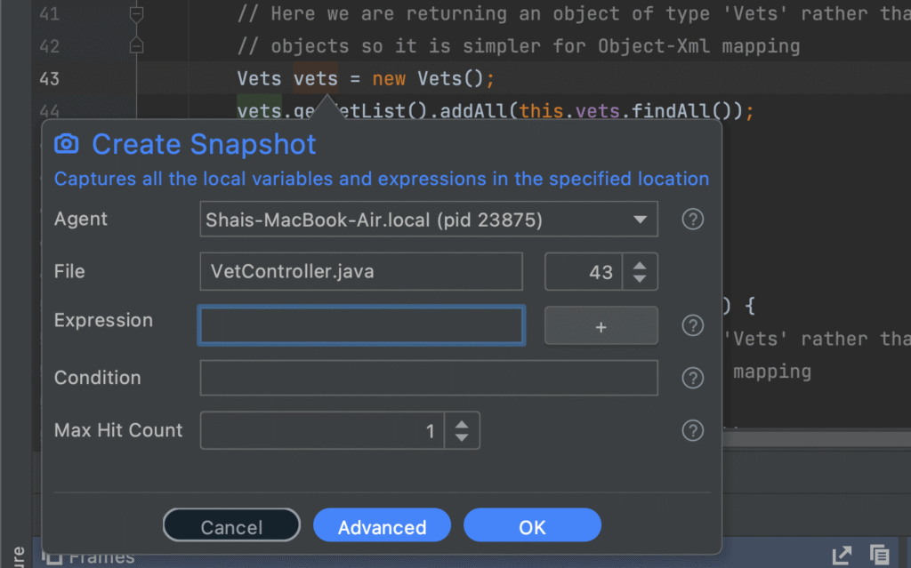Lightrun snapshot properties
