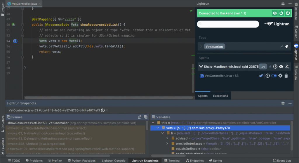 Stack frames and variables as part of a Lightrun snapshot