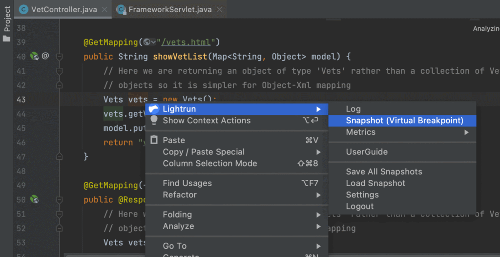 Creating a Lightrun snapshot