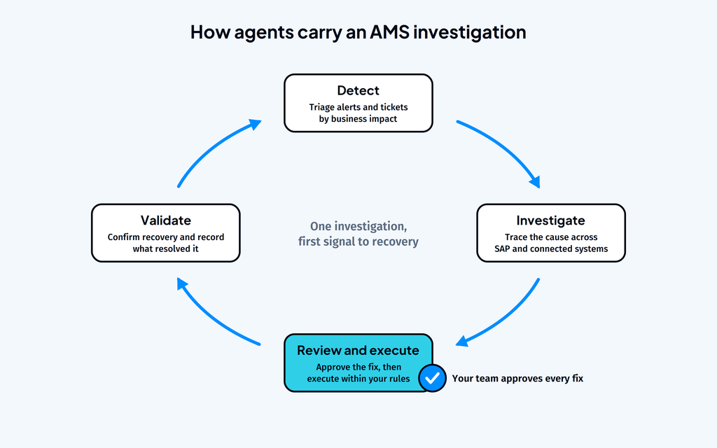 What Are Application Management Services (AMS)? A Guide