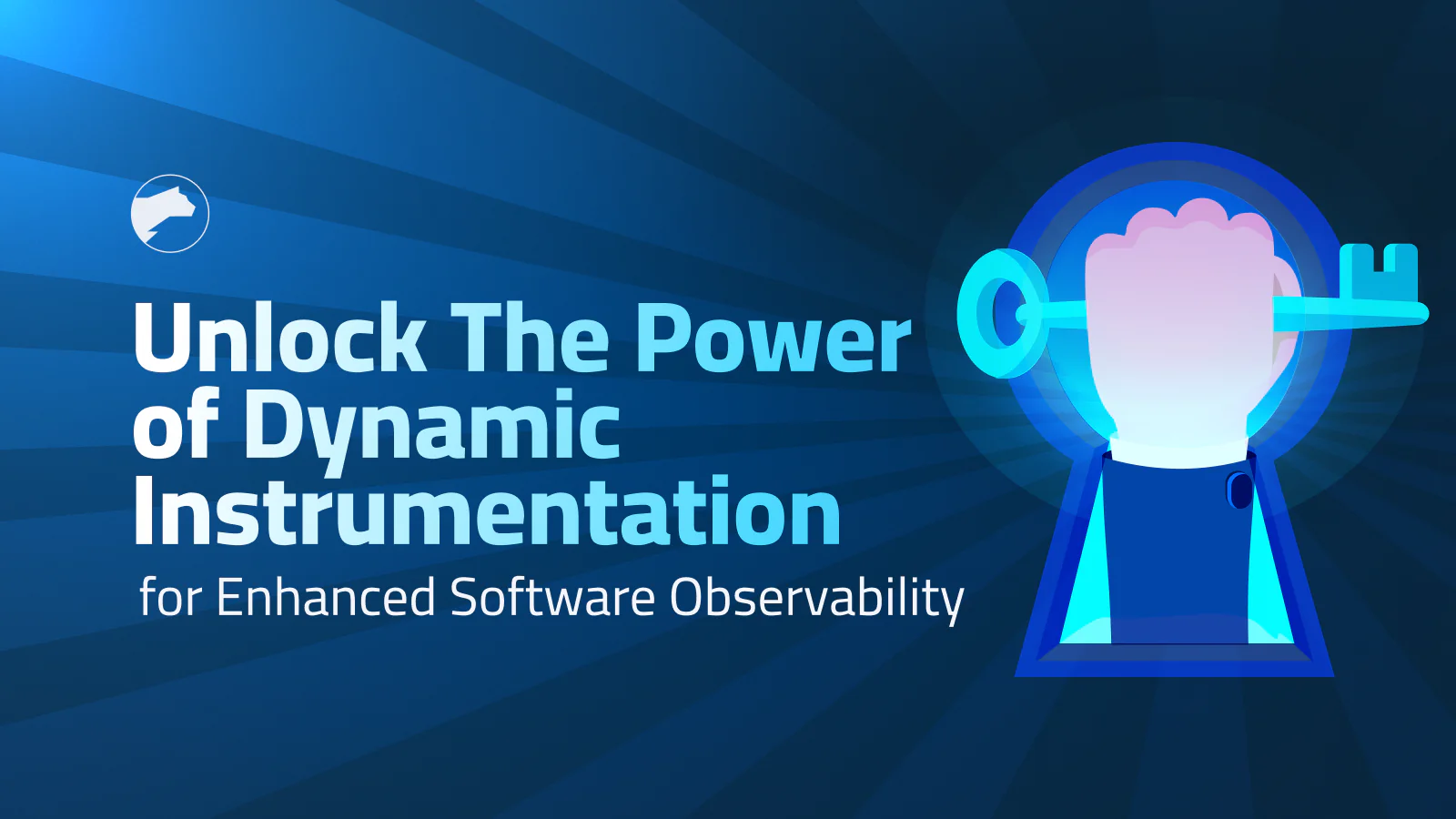 Enhance Software Observability with Dynamic Instrumentation