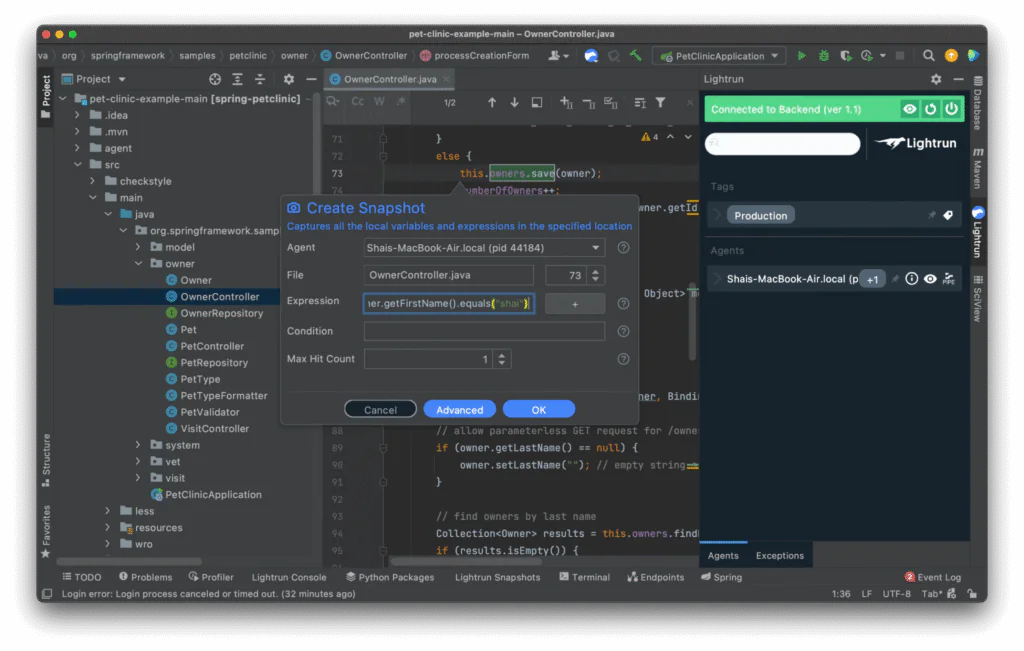 Creating a Lightrun snapshot