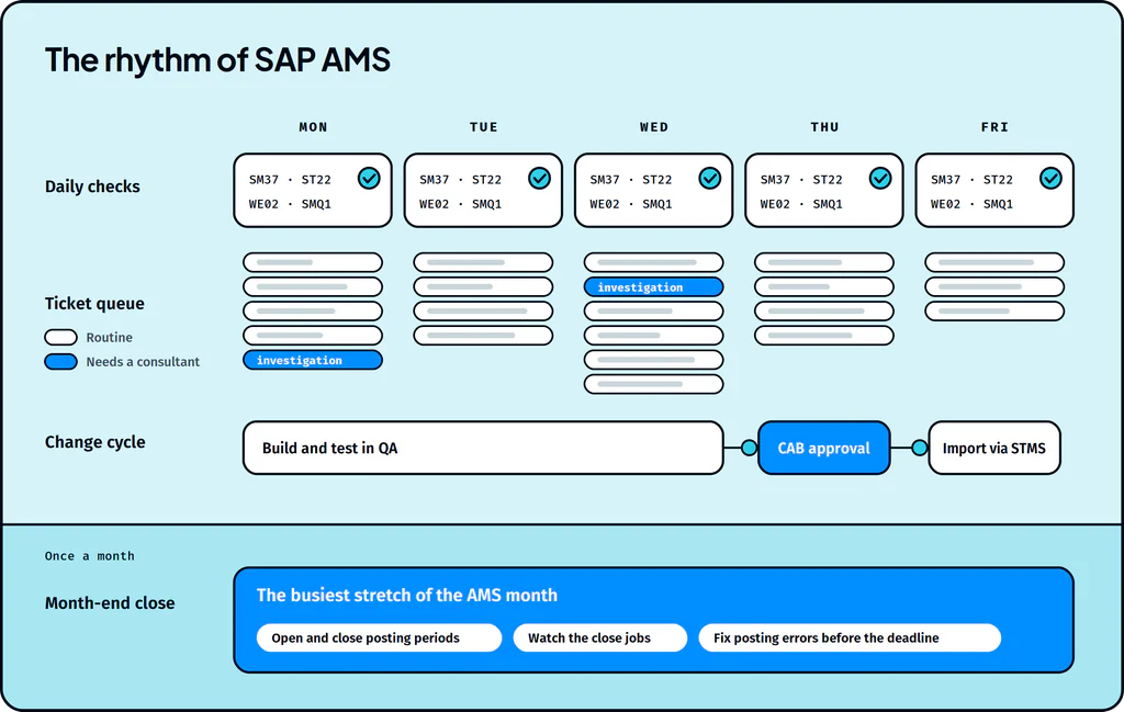 SAP AMS Through 2030: What It Covers and Where AI Fits