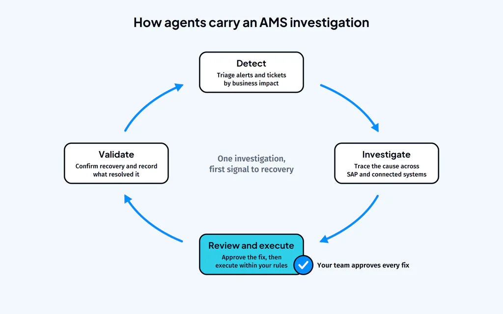 What Are Application Management Services (AMS)? A Guide